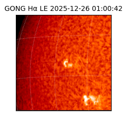 gong - 2025-12-26T01:00:42
