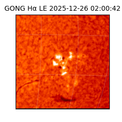 gong - 2025-12-26T02:00:42