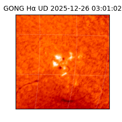 gong - 2025-12-26T03:01:02
