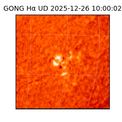 gong - 2025-12-26T10:00:02