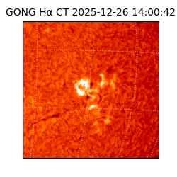 gong - 2025-12-26T14:00:42
