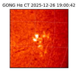 gong - 2025-12-26T19:00:42