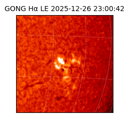 gong - 2025-12-26T23:00:42