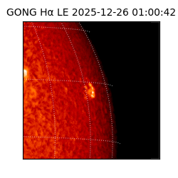 gong - 2025-12-26T01:00:42