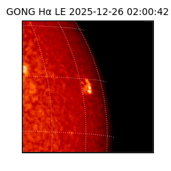 gong - 2025-12-26T02:00:42