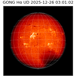 gong - 2025-12-26T03:01:02