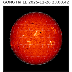 gong - 2025-12-26T23:00:42