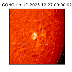 gong - 2025-12-27T09:00:02