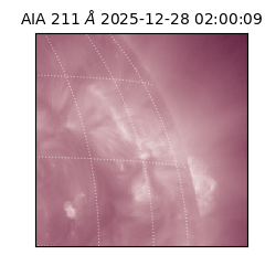 saia - 2025-12-28T02:00:09.630000