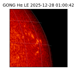 gong - 2025-12-28T01:00:42