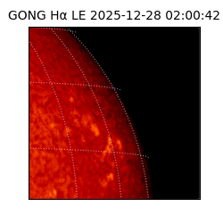 gong - 2025-12-28T02:00:42