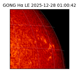 gong - 2025-12-28T01:00:42