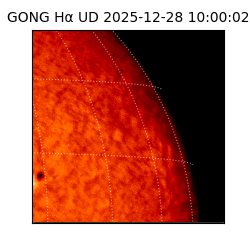 gong - 2025-12-28T10:00:02