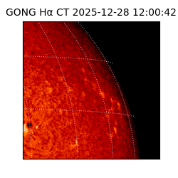 gong - 2025-12-28T12:00:42