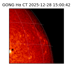 gong - 2025-12-28T15:00:42