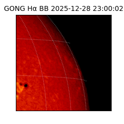 gong - 2025-12-28T23:00:02