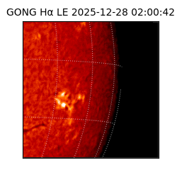 gong - 2025-12-28T02:00:42