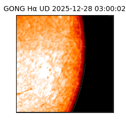 gong - 2025-12-28T03:00:02