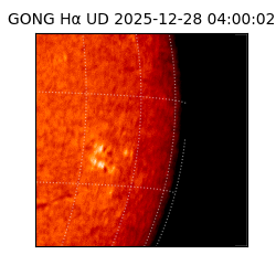 gong - 2025-12-28T04:00:02