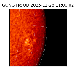 gong - 2025-12-28T11:00:02