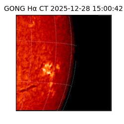 gong - 2025-12-28T15:00:42