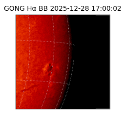 gong - 2025-12-28T17:00:02