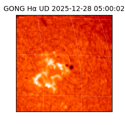 gong - 2025-12-28T05:00:02