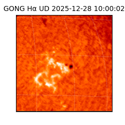 gong - 2025-12-28T10:00:02