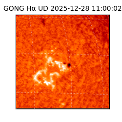 gong - 2025-12-28T11:00:02