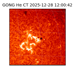 gong - 2025-12-28T12:00:42