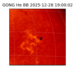 gong - 2025-12-28T19:00:02