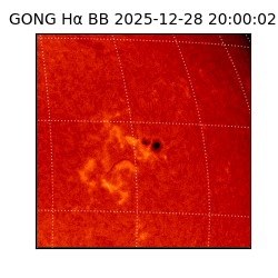 gong - 2025-12-28T20:00:02