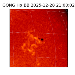 gong - 2025-12-28T21:00:02