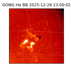 gong - 2025-12-28T23:00:02