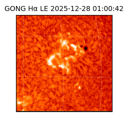 gong - 2025-12-28T01:00:42