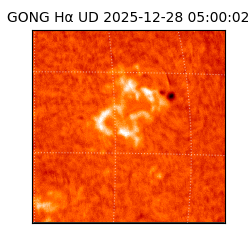 gong - 2025-12-28T05:00:02