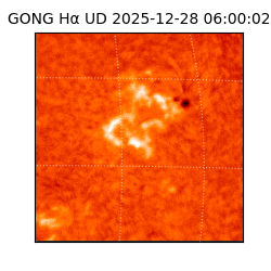 gong - 2025-12-28T06:00:02