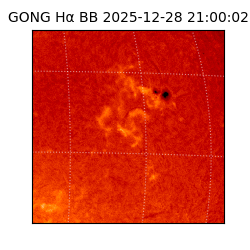 gong - 2025-12-28T21:00:02