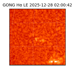 gong - 2025-12-28T02:00:42