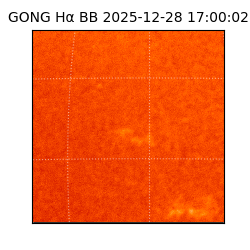 gong - 2025-12-28T17:00:02