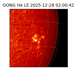 gong - 2025-12-28T02:00:42
