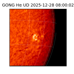 gong - 2025-12-28T08:00:02