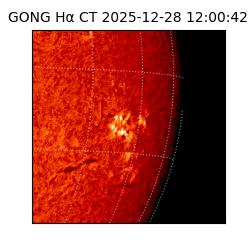 gong - 2025-12-28T12:00:42