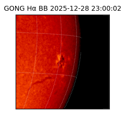 gong - 2025-12-28T23:00:02