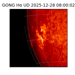 gong - 2025-12-28T08:00:02