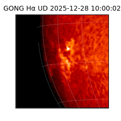 gong - 2025-12-28T10:00:02