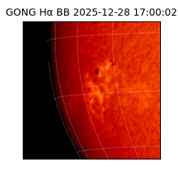gong - 2025-12-28T17:00:02