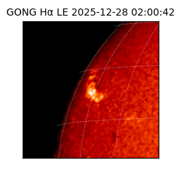gong - 2025-12-28T02:00:42