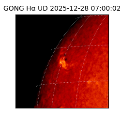 gong - 2025-12-28T07:00:02