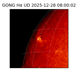 gong - 2025-12-28T08:00:02